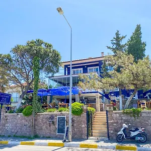 Lacivert Ayvalı