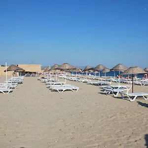Efsanem Ayvalı